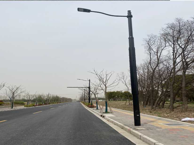 寒亭区上海综合杆 太阳能路灯工程